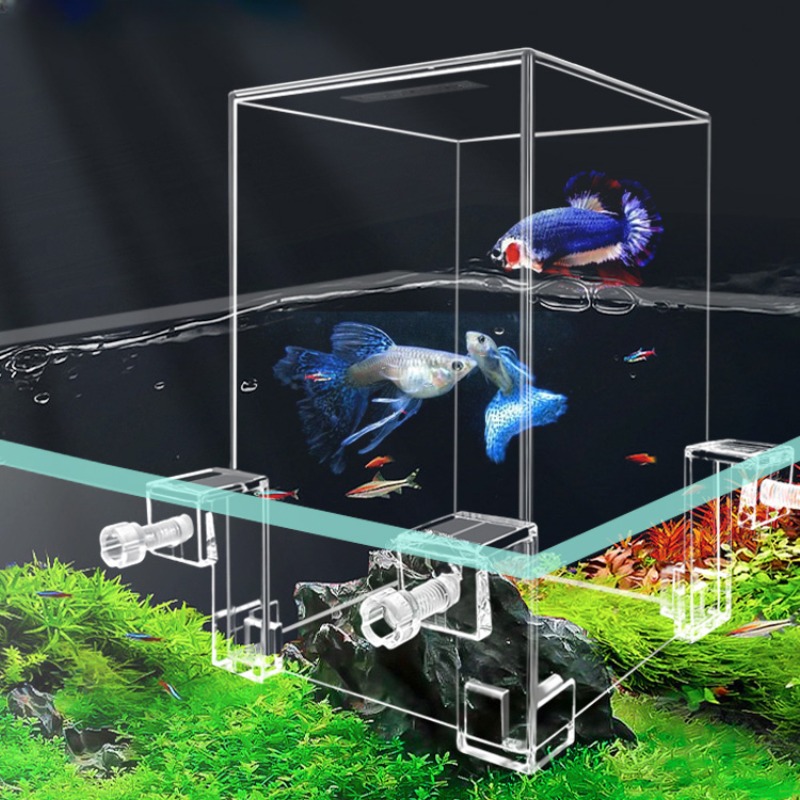 Plant Aquarium Pot - Creative Aquarium Tanks Negative Pressure Fish