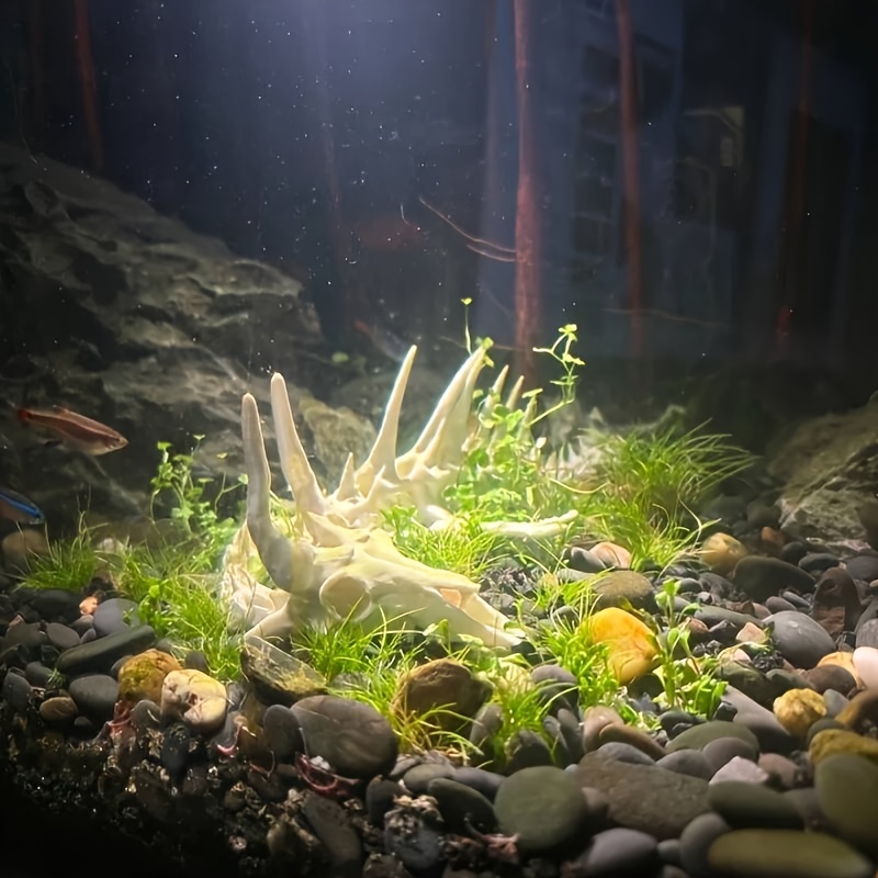 1pc Dragon-Shaped Fishbone Dec - огляд і ціна Aquarium Plants Live