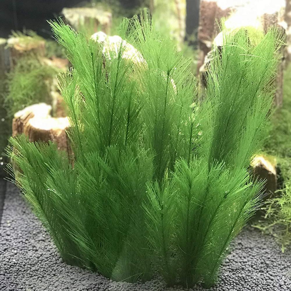 1/3Pcs 28/40cm Aquarium Fish T - огляд і ціна Live Plant Aquarium
