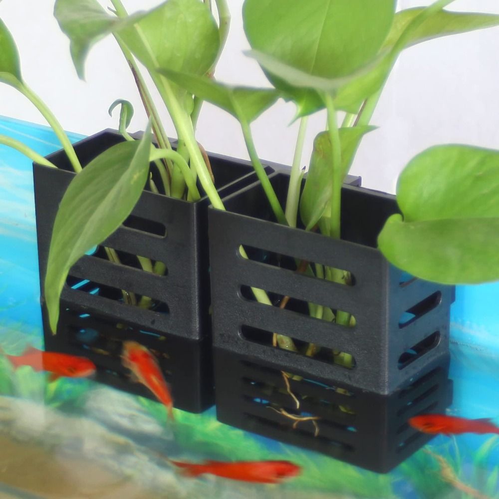 Aquarium Fish Tank Plant Holde - огляд і ціна Aquarium Plant Holder