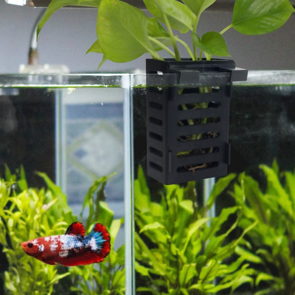 Aquarium Fish Tank Plant Holde - огляд і ціна Aquarium Plant Holder