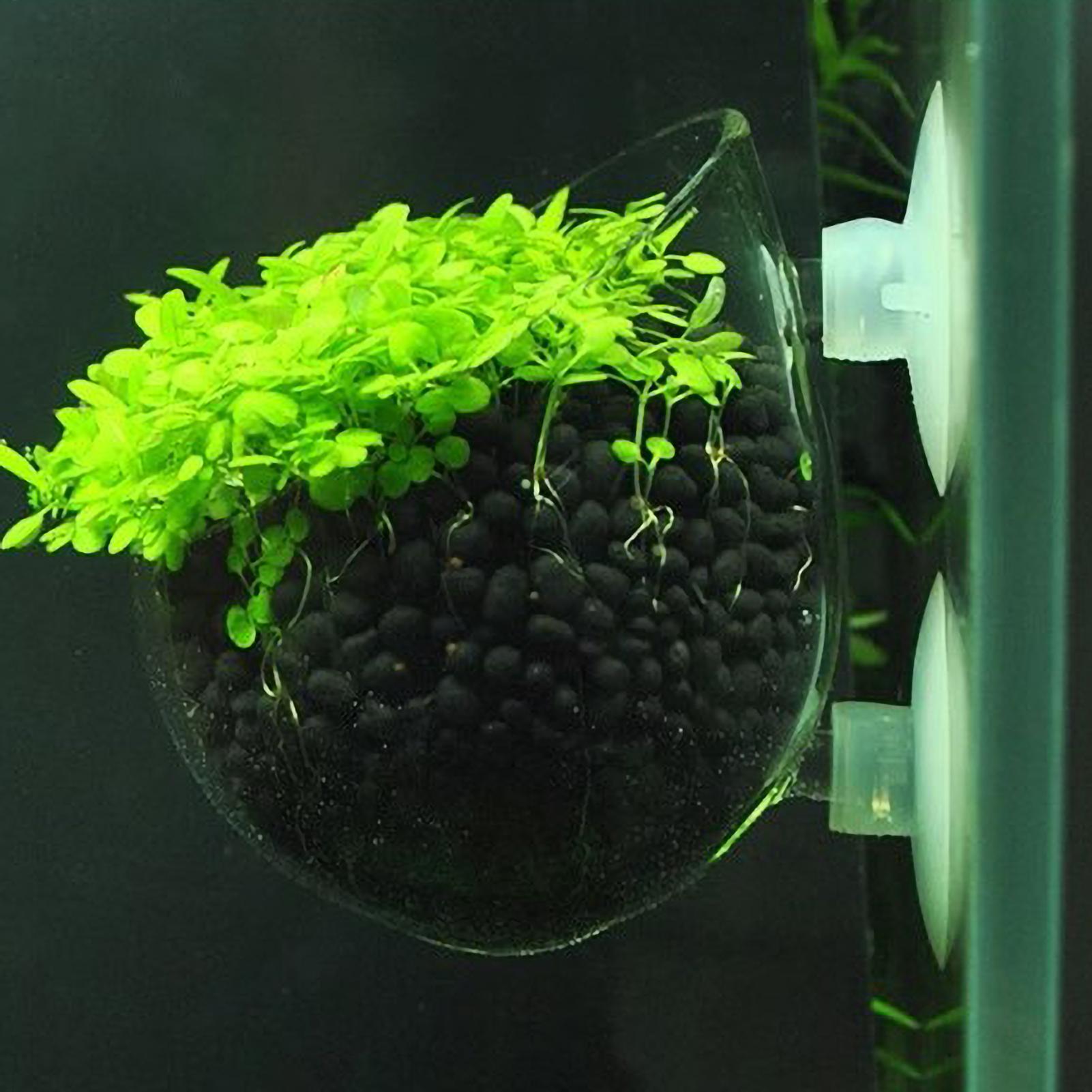 Aquarium Plant Holder Glass Aq - огляд і ціна Aquarium Plant Holder