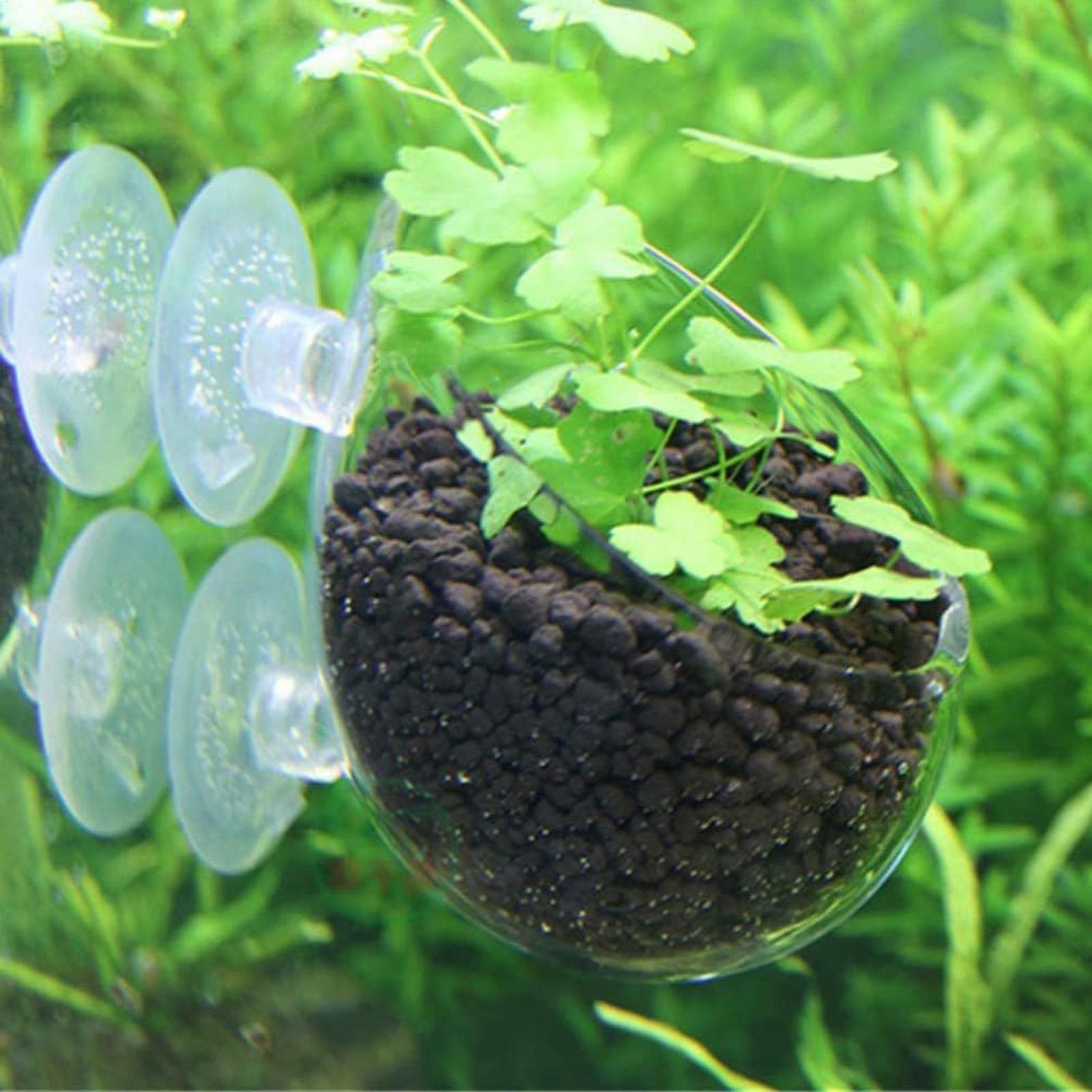Aquarium Plant Holder Glass Aq - огляд і ціна Aquarium Plant Holder
