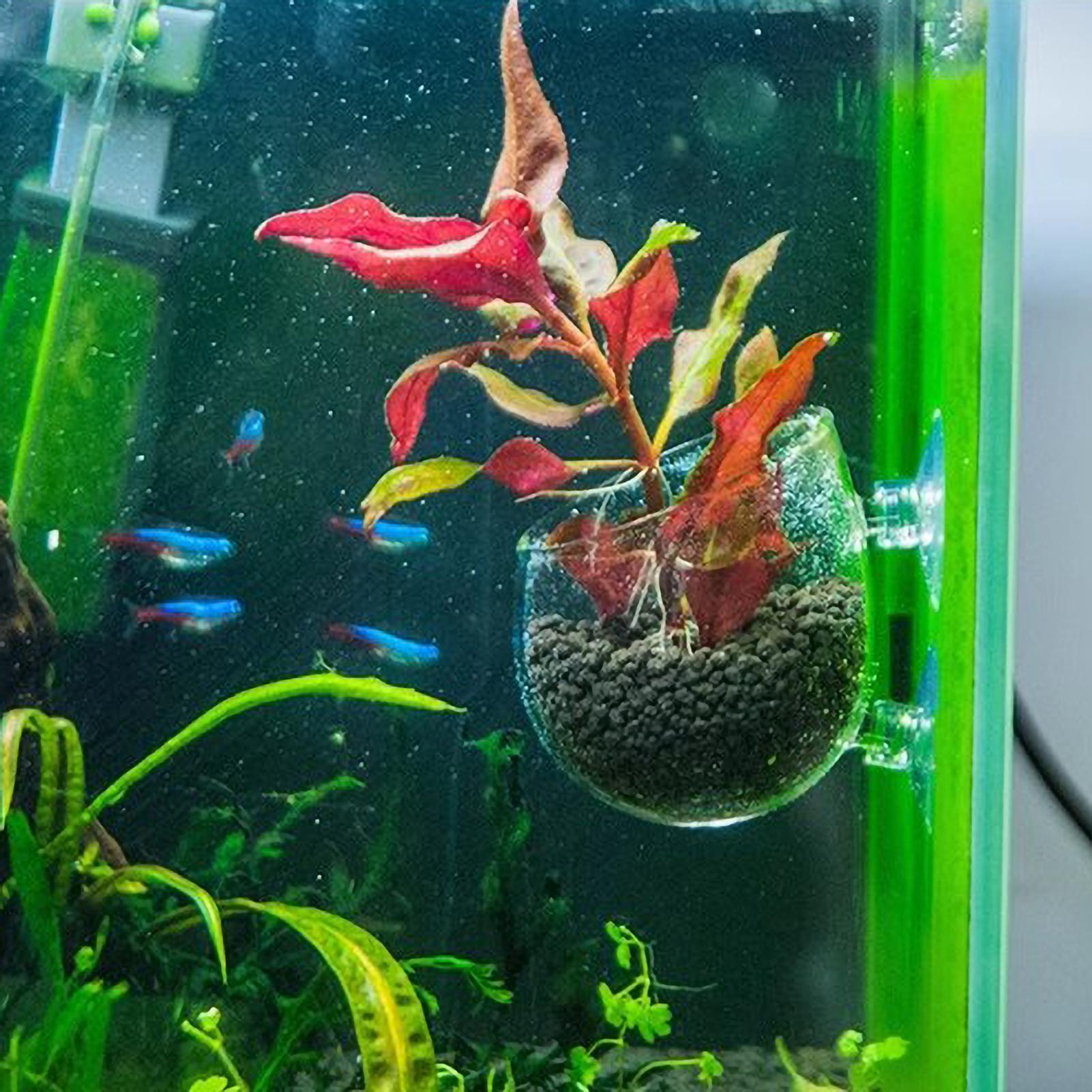 Aquarium Plant Holder Glass Aq - огляд і ціна Aquarium Plant Holder