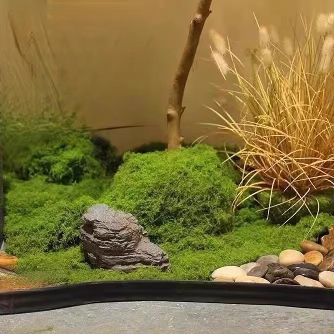 200g Eternal Life Moss DIY Cra - огляд і ціна Aquarium Moss