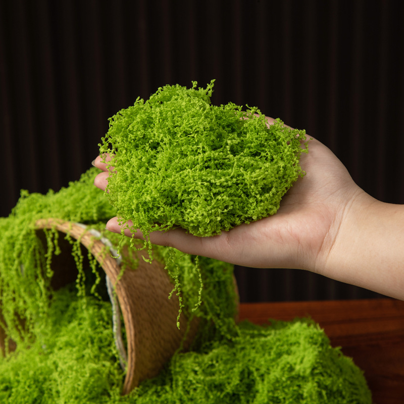 200g Eternal Life Moss DIY Cra - огляд і ціна Aquarium Moss