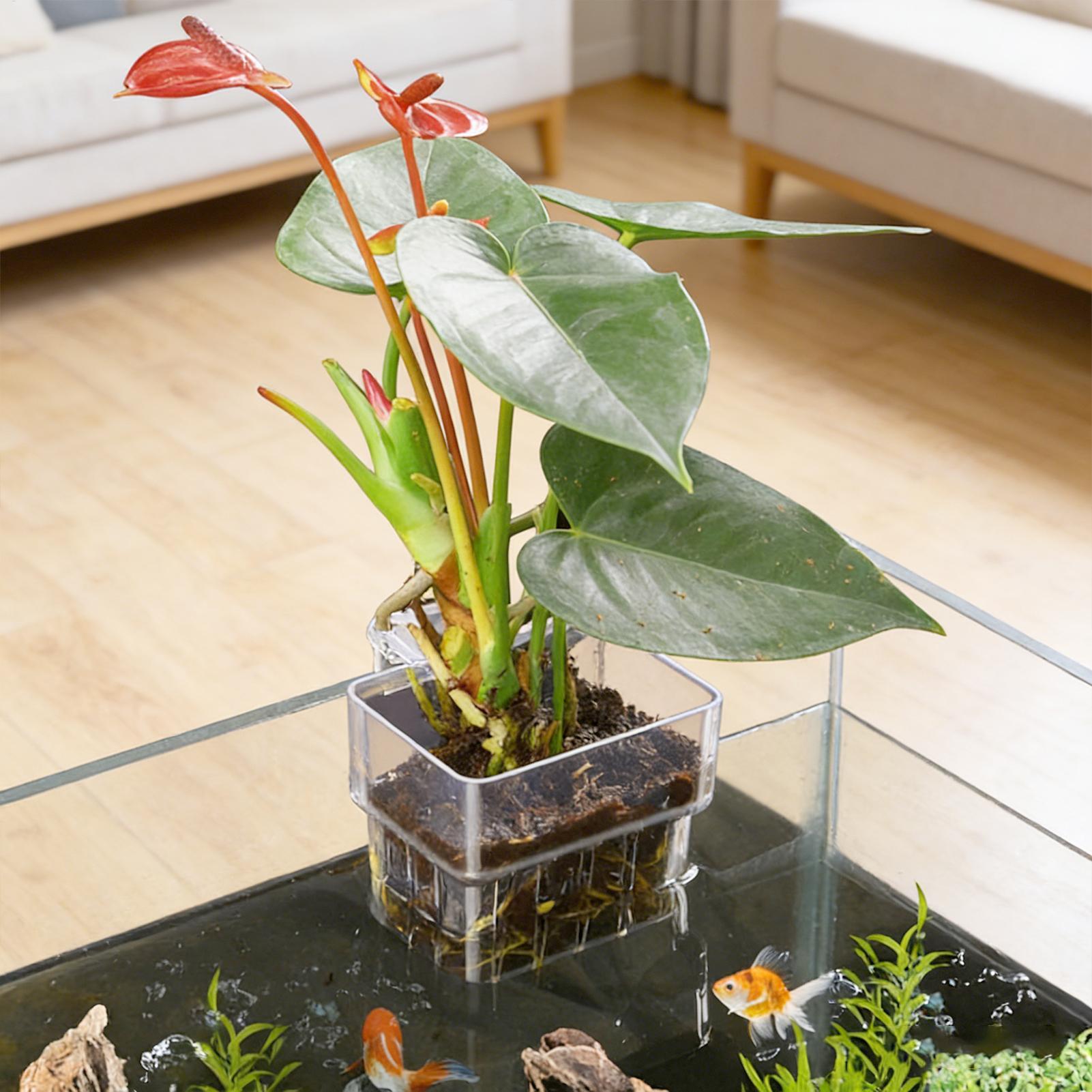 Aquarium Plant Basket Transpar - огляд і ціна Aquarium Plant Holder