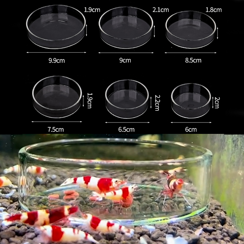 Shrimp Feeding Dish High Trans - огляд і ціна Aquarium Fertilizer