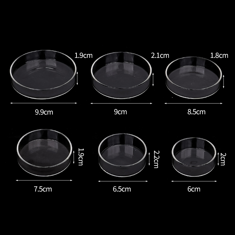 Shrimp Feeding Dish High Trans - огляд і ціна Aquarium Fertilizer