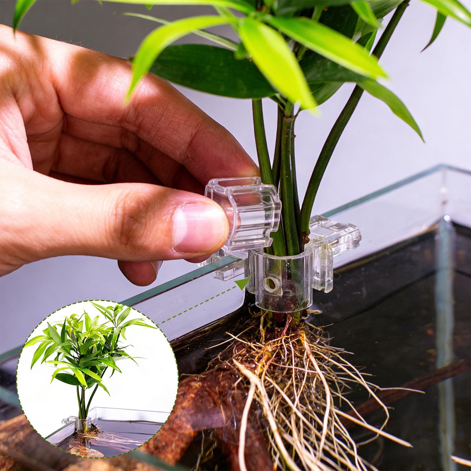 6pcs Aquarium Plant Holders Cl - огляд і ціна Aquarium Plant Holder