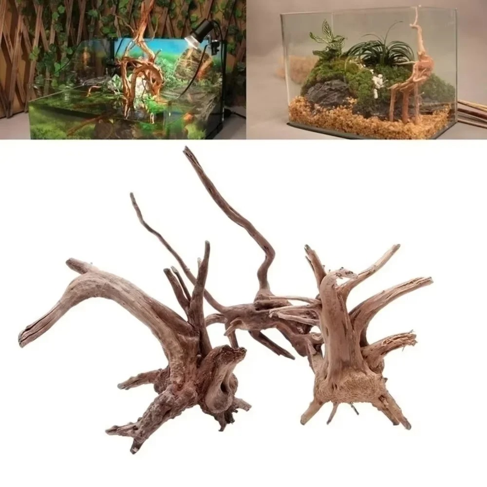 15-20CM Natural Driftwood Aqua - огляд і ціна Aquarium Moss