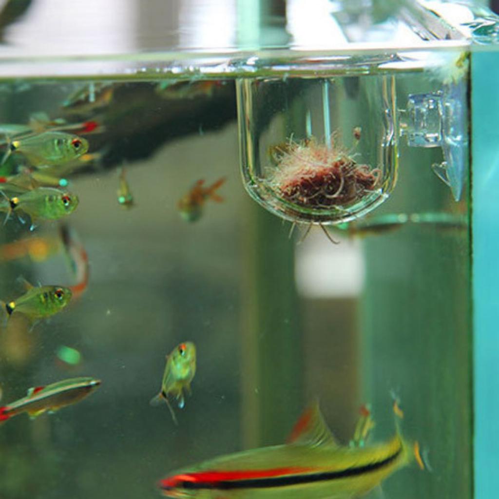 Fish Feeding Basket Glass Aqua - огляд і ціна Plant Aquarium Pot
